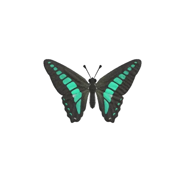 Graphium CI